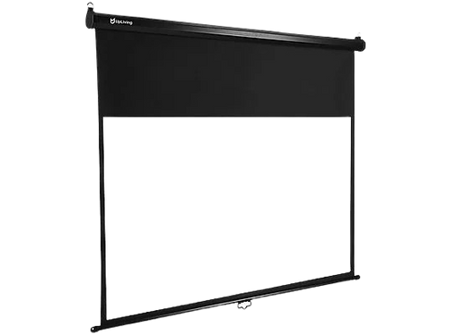 Projektorleinwand (300cm)