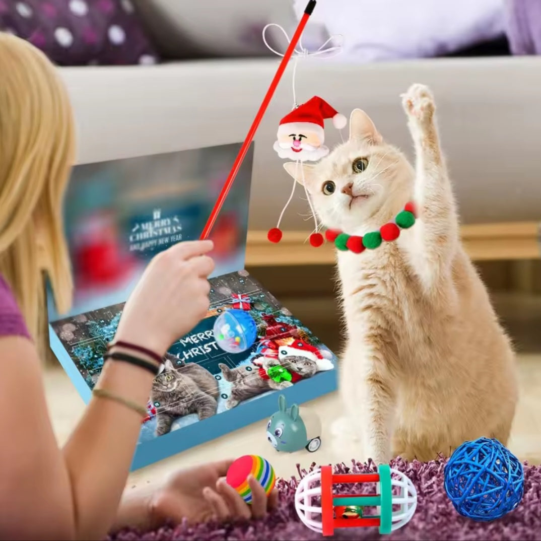 Giftoria™Katzenkalender