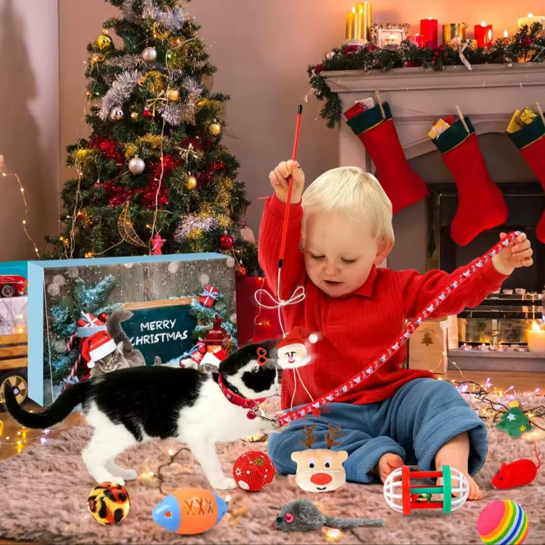 Giftoria™Katzenkalender