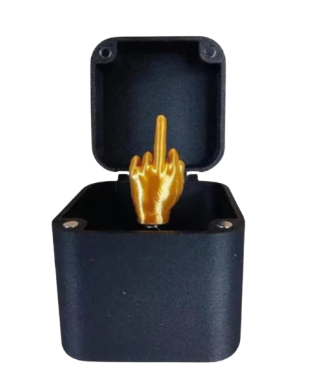 Nur für dich "Mittelfinger"