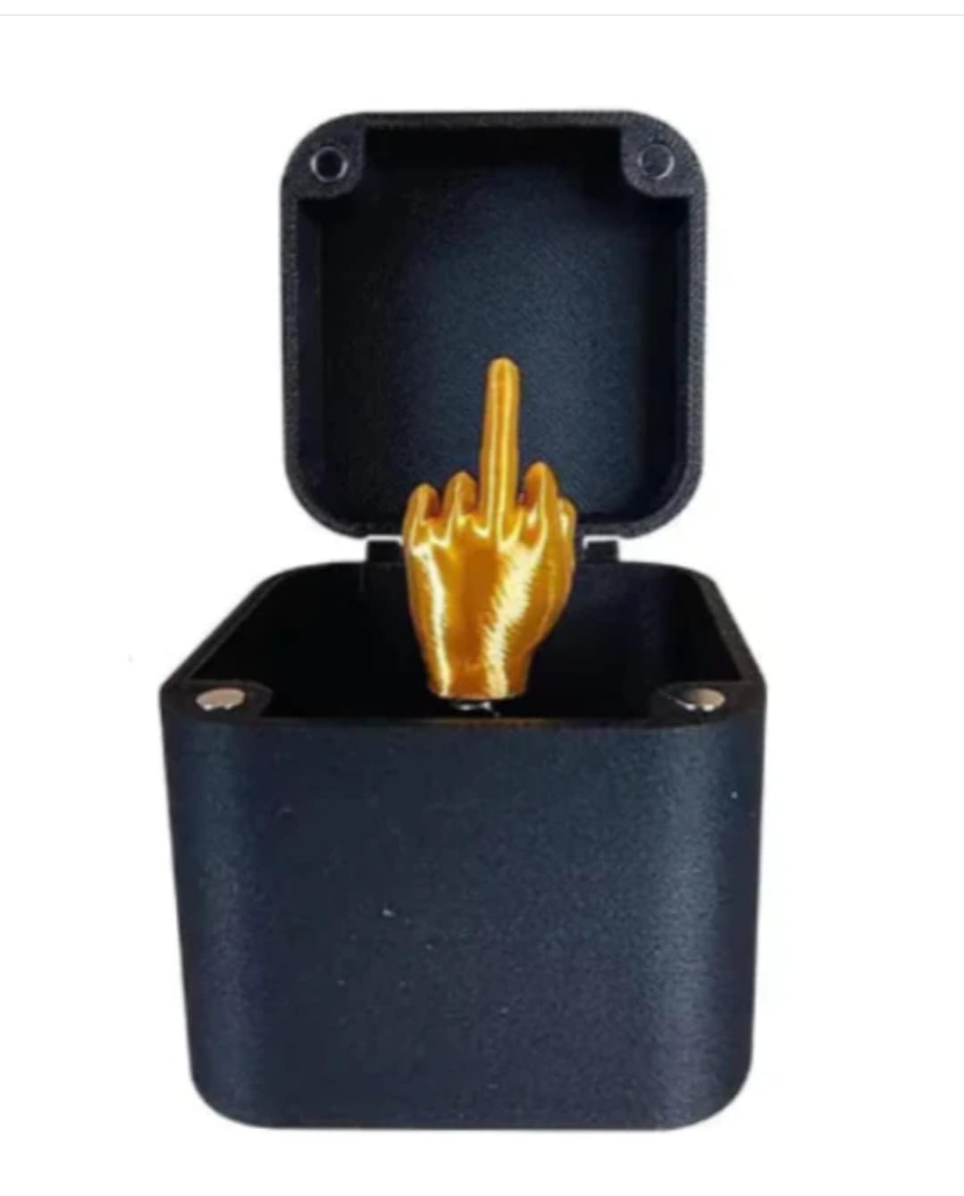 Nur für dich "Mittelfinger"